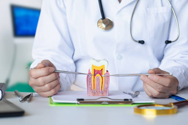 Best Broken or Cracked Tooth Emergency Dentist in Rose Hill, VA
